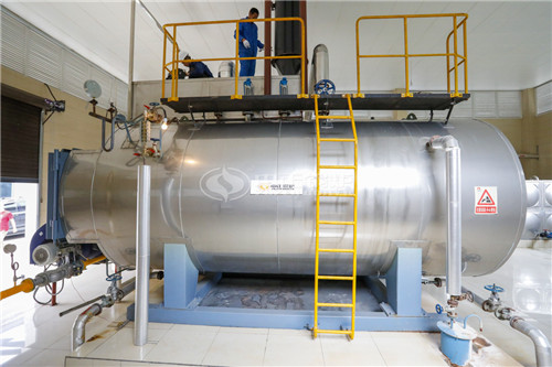 25噸天然氣導(dǎo)熱油鍋爐多少錢(qián)