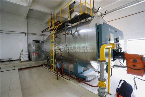 25T燃生物質(zhì)導熱油鍋爐排名