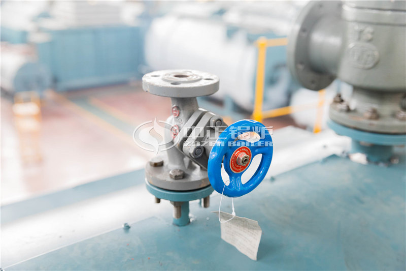 4T天然氣導熱油鍋爐生產(chǎn)廠家