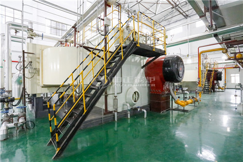 25噸燃生物質(zhì)導熱油爐合適價位