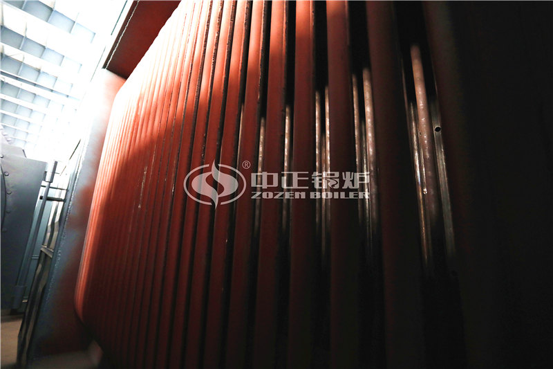 80萬(wàn)大卡燃生物質(zhì)導(dǎo)熱油爐大廠