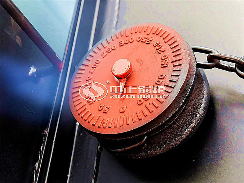 一臺(tái)6T導(dǎo)熱油爐多少萬(wàn)能買(mǎi)到