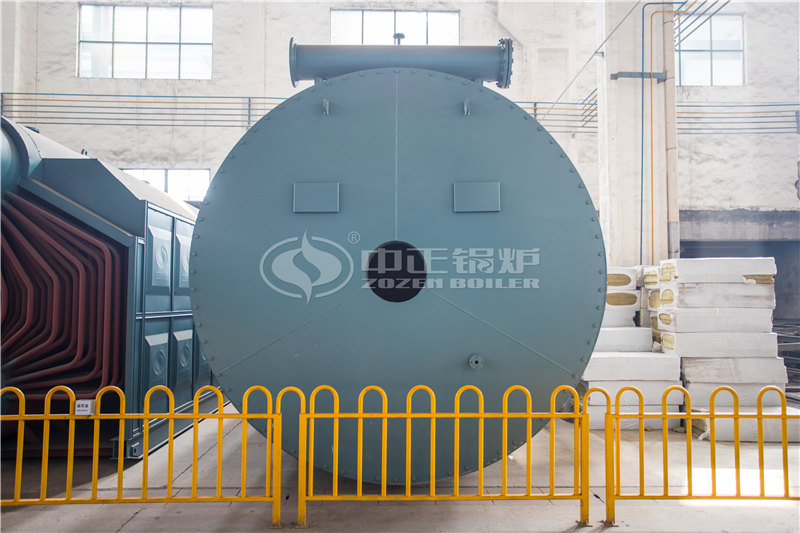 6T燃生物質(zhì)導熱油爐報價多少錢