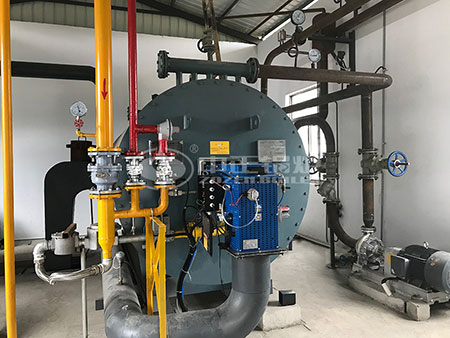 燃氣承壓熱水鍋爐
