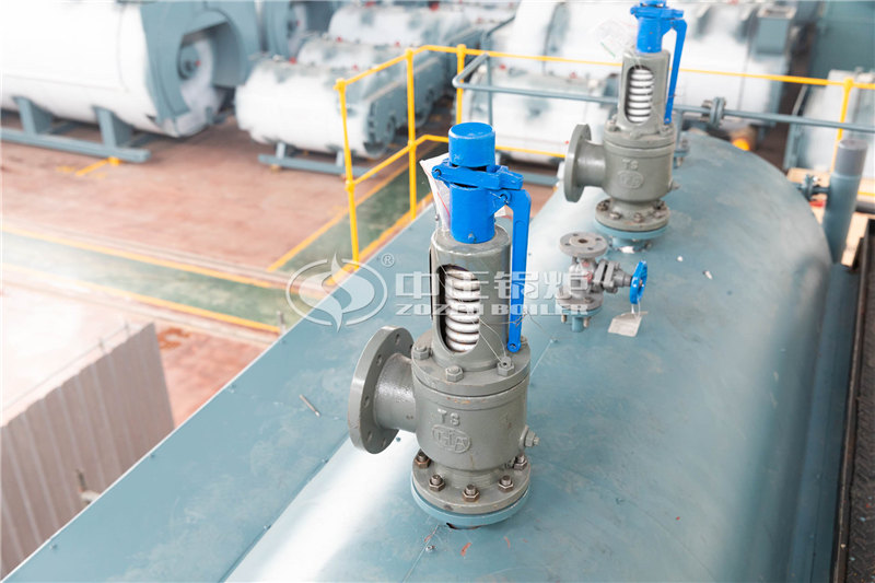 6T燃生物質(zhì)導熱油鍋爐多貴