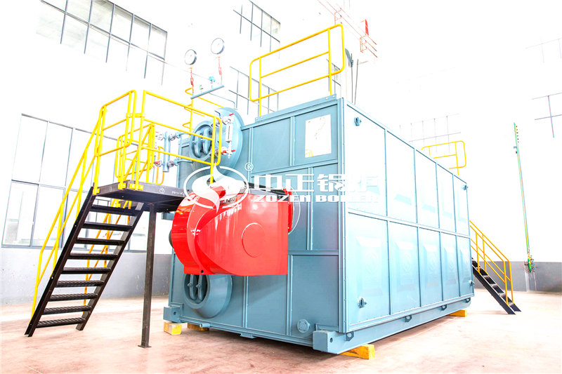 6T燃生物質(zhì)導(dǎo)熱油爐生產(chǎn)廠(chǎng)家