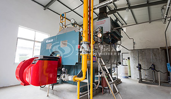 生物質(zhì)循環(huán)流化床鍋爐