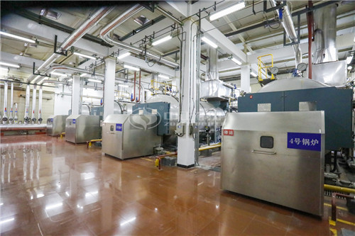 6噸燃?xì)鈱?dǎo)熱油爐多少錢一臺