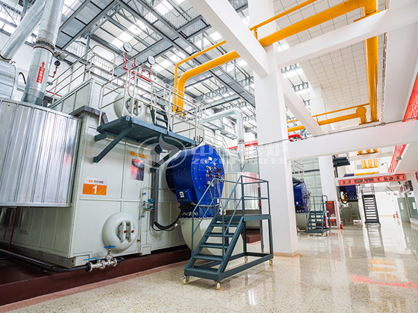 60萬大卡生物質(zhì)導熱油鍋爐每小時消耗多少生物質(zhì)燃料