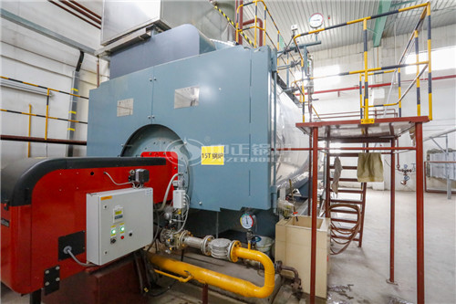 8T燃生物質(zhì)導熱油爐價格