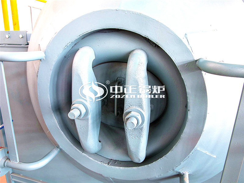 6噸燃生物質(zhì)導熱油爐性價比價位