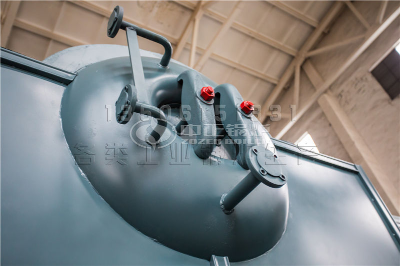 燃燒生物質(zhì)導熱油鍋爐