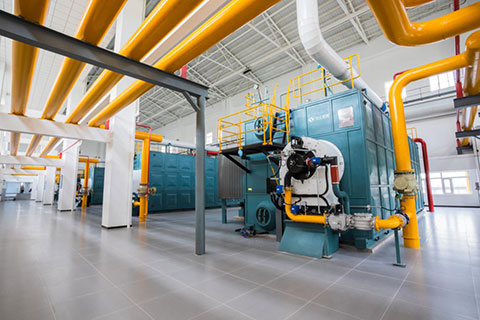 生物質(zhì)鍋爐8噸